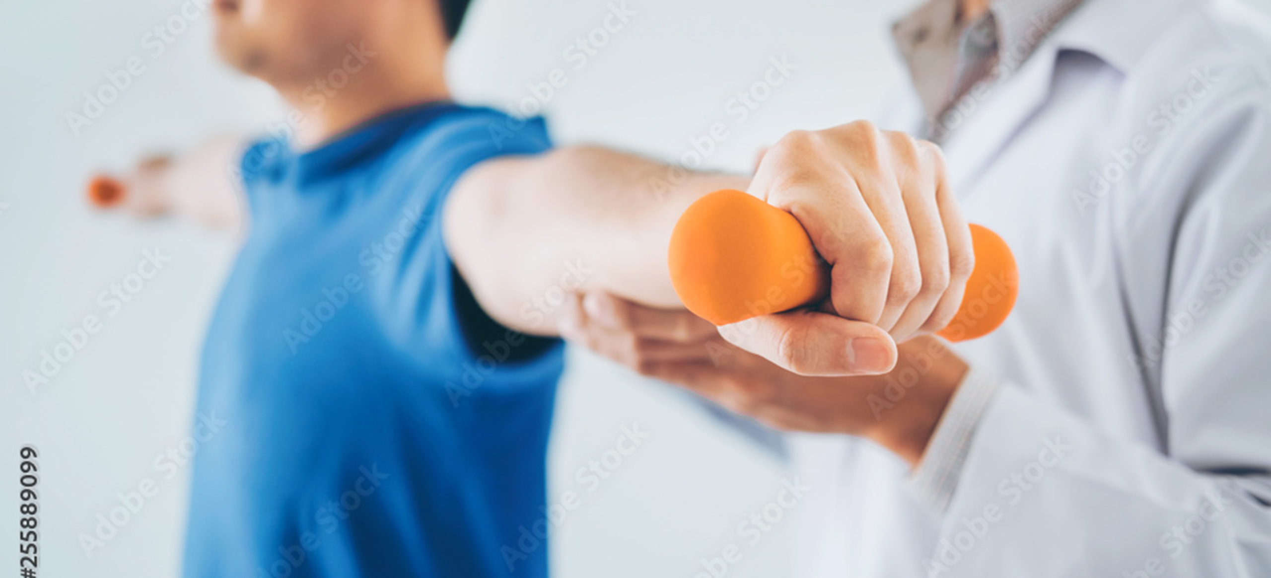 AdobeStock_255889099_Preview2