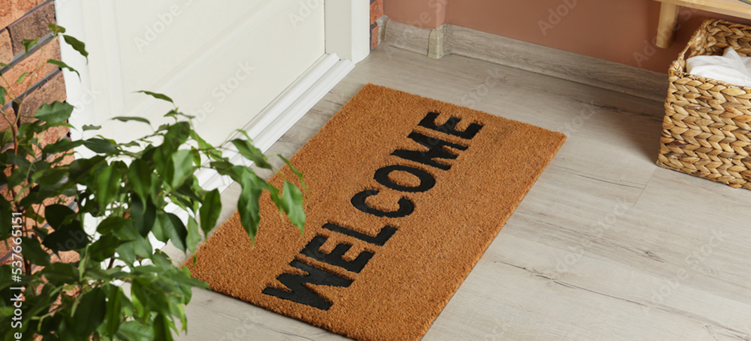 AdobeStock_537665151_Preview